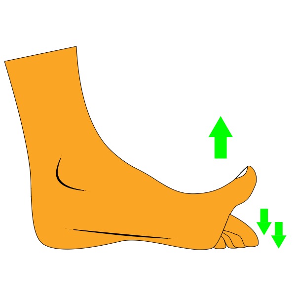 Wondering how to fix flat feet? Try the toe press exercise